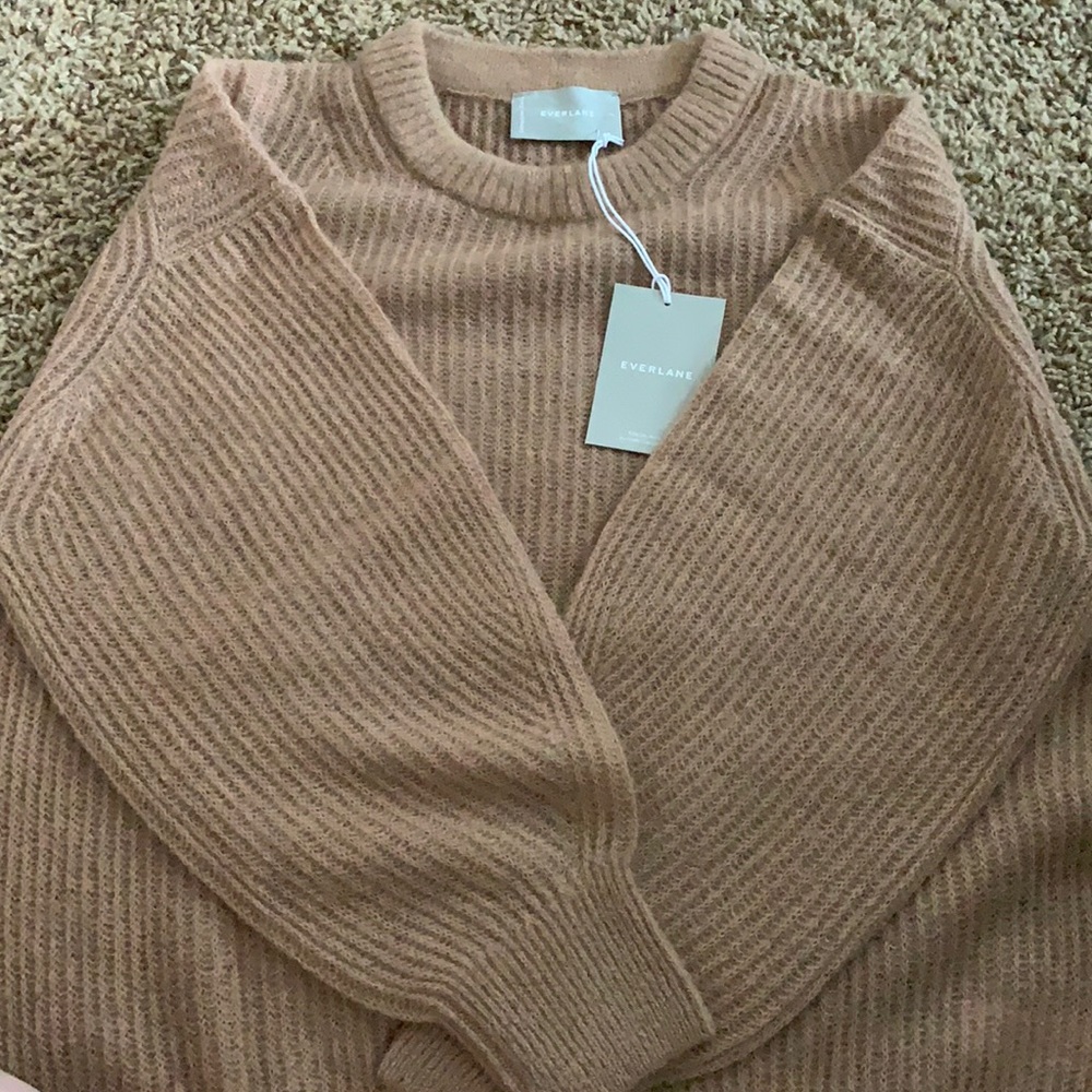 Everlane Oversized Alpaca Crew color Warm Taupe
